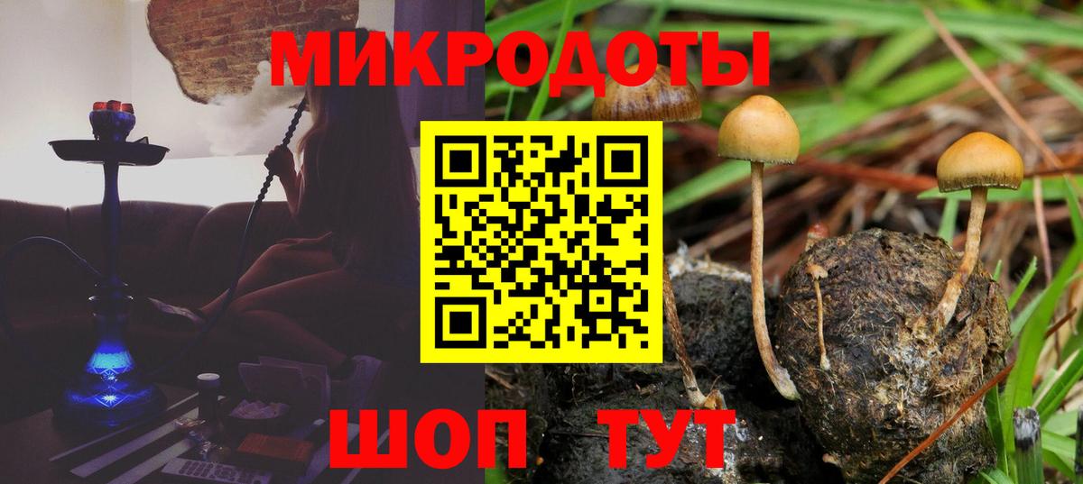 Арсеньев  купить  сайты  Вход с VPN  Псилоцибиновые грибы мицелий 